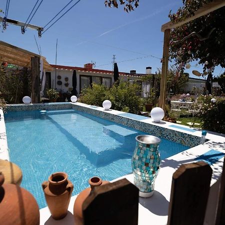 Beach House Babylon Guest House With Kitchenette And Garden Torreira Eksteriør billede