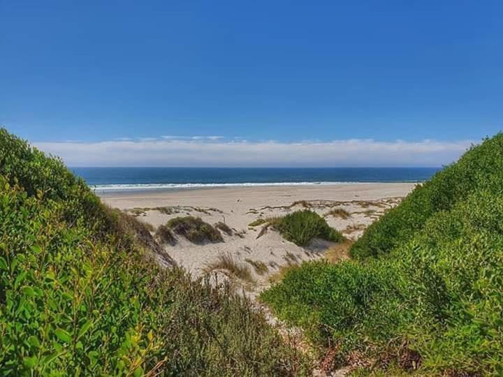 Beach House Babylon Guest House With Kitchenette And Garden Torreira Eksteriør billede