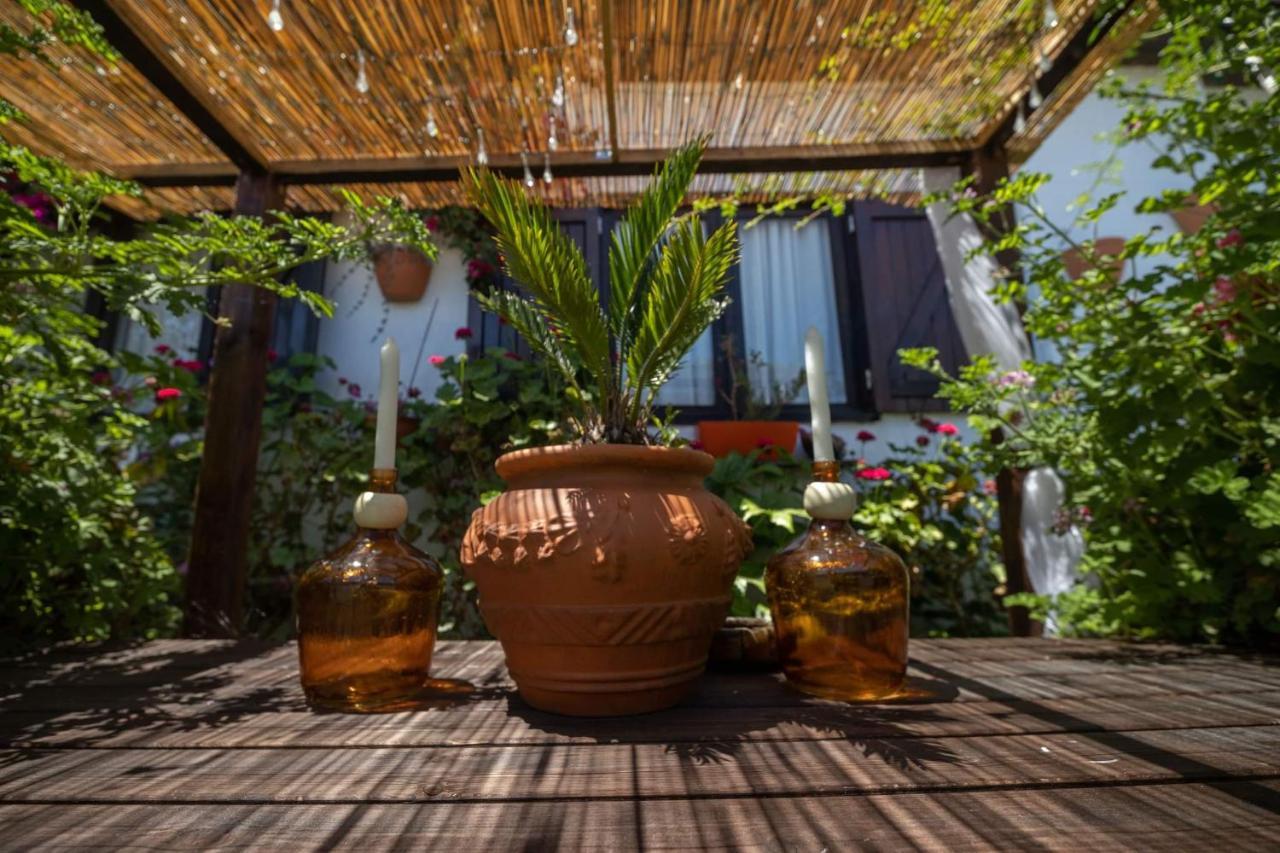 Beach House Babylon Guest House With Kitchenette And Garden Torreira Eksteriør billede
