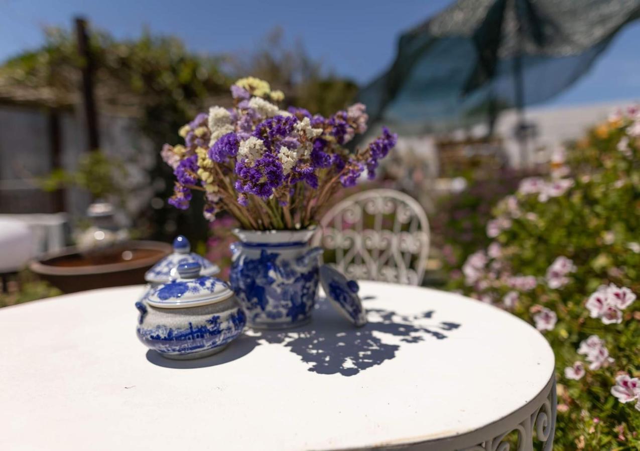 Beach House Babylon Guest House With Kitchenette And Garden Torreira Eksteriør billede