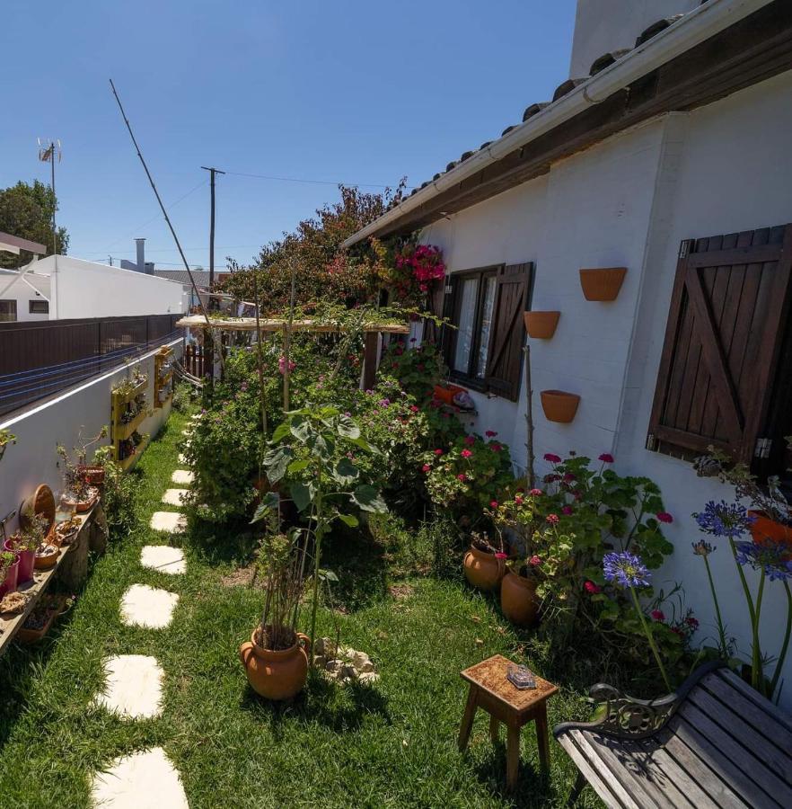Beach House Babylon Guest House With Kitchenette And Garden Torreira Eksteriør billede