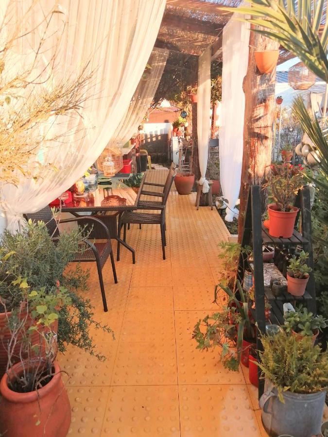 Beach House Babylon Guest House With Kitchenette And Garden Torreira Eksteriør billede