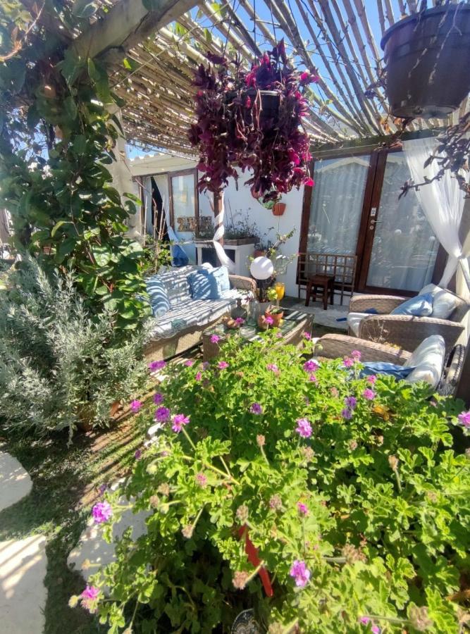 Beach House Babylon Guest House With Kitchenette And Garden Torreira Eksteriør billede