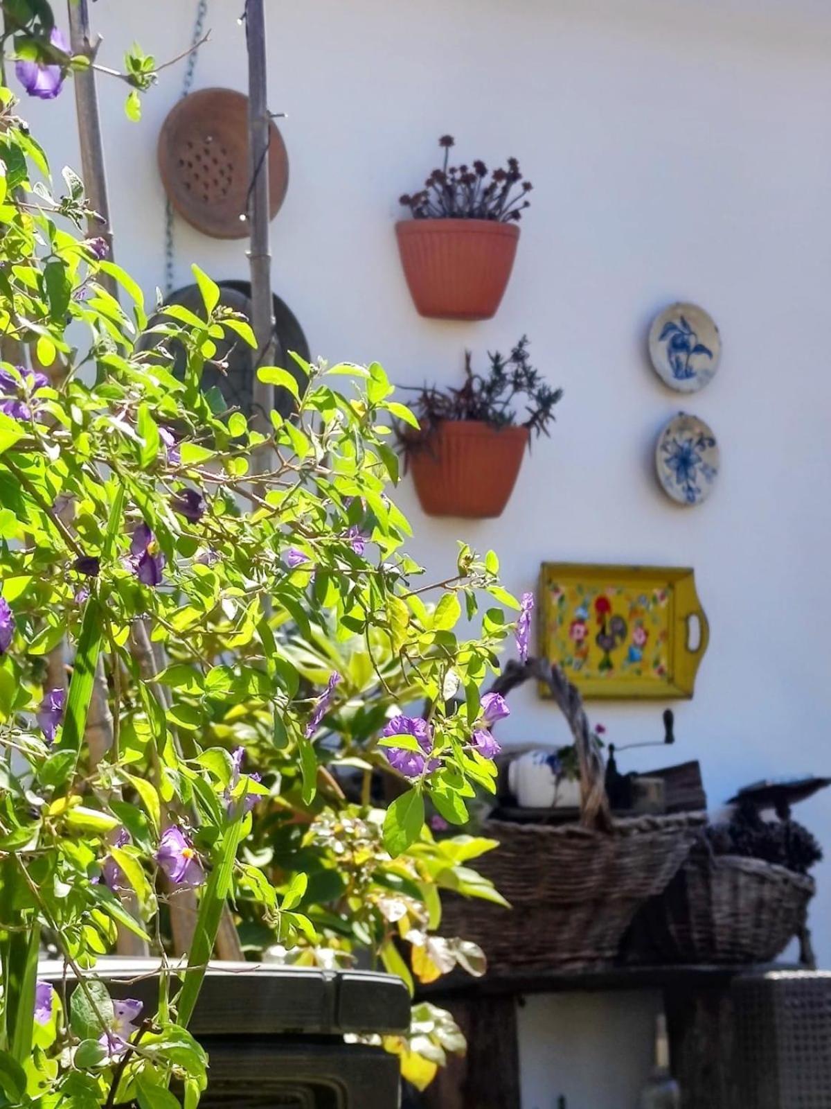 Beach House Babylon Guest House With Kitchenette And Garden Torreira Eksteriør billede