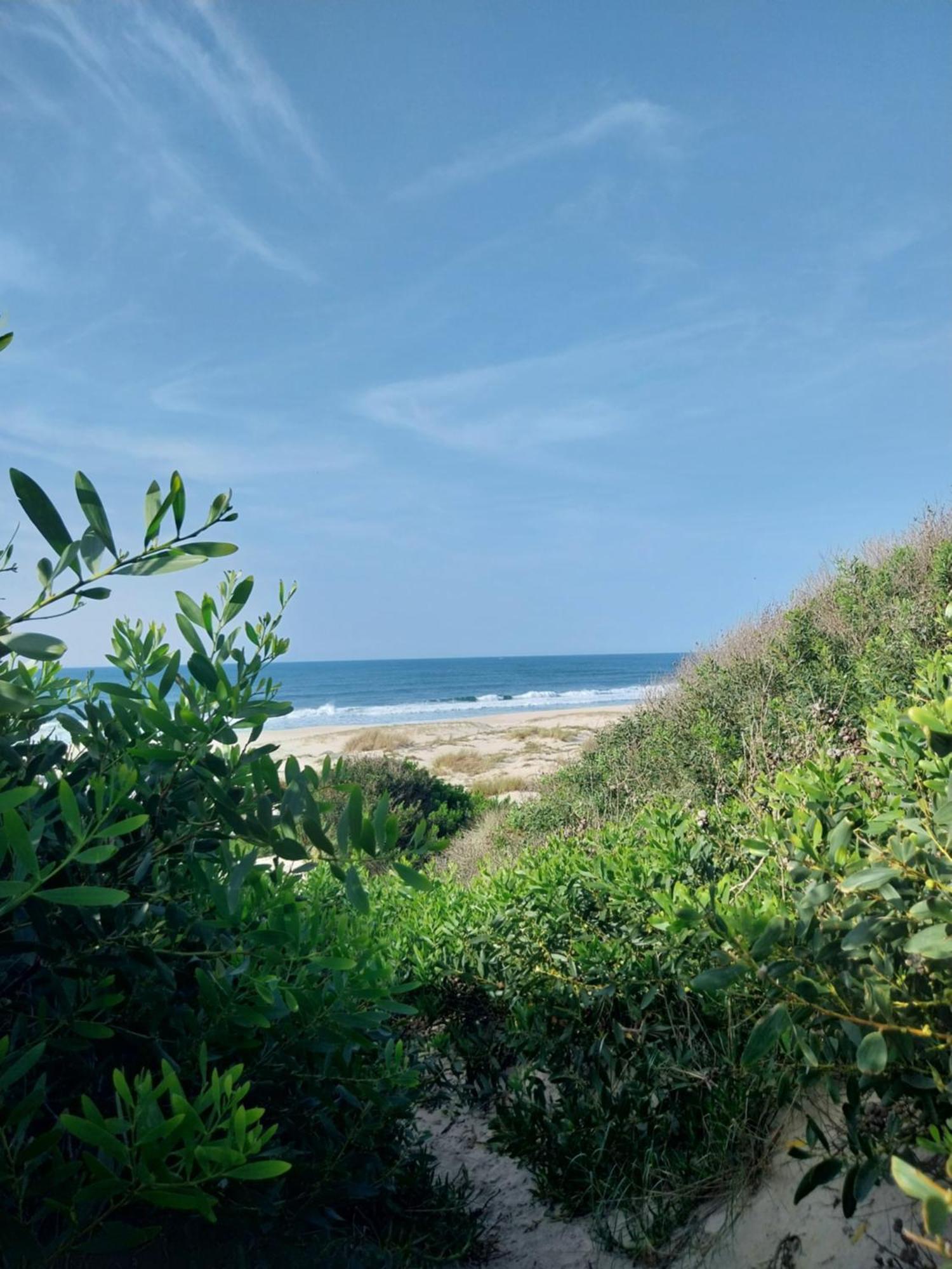 Beach House Babylon Guest House With Kitchenette And Garden Torreira Eksteriør billede