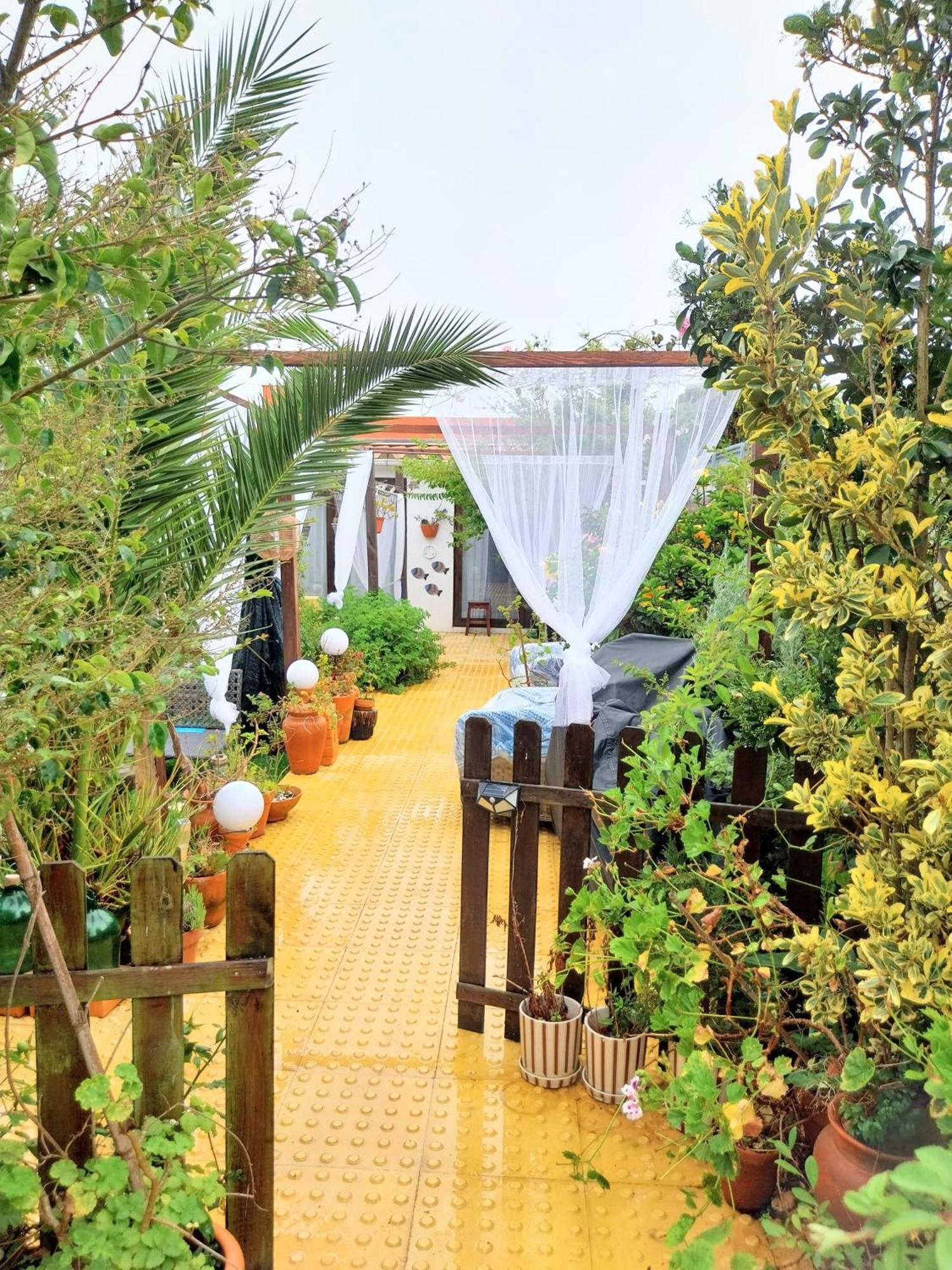 Beach House Babylon Guest House With Kitchenette And Garden Torreira Eksteriør billede