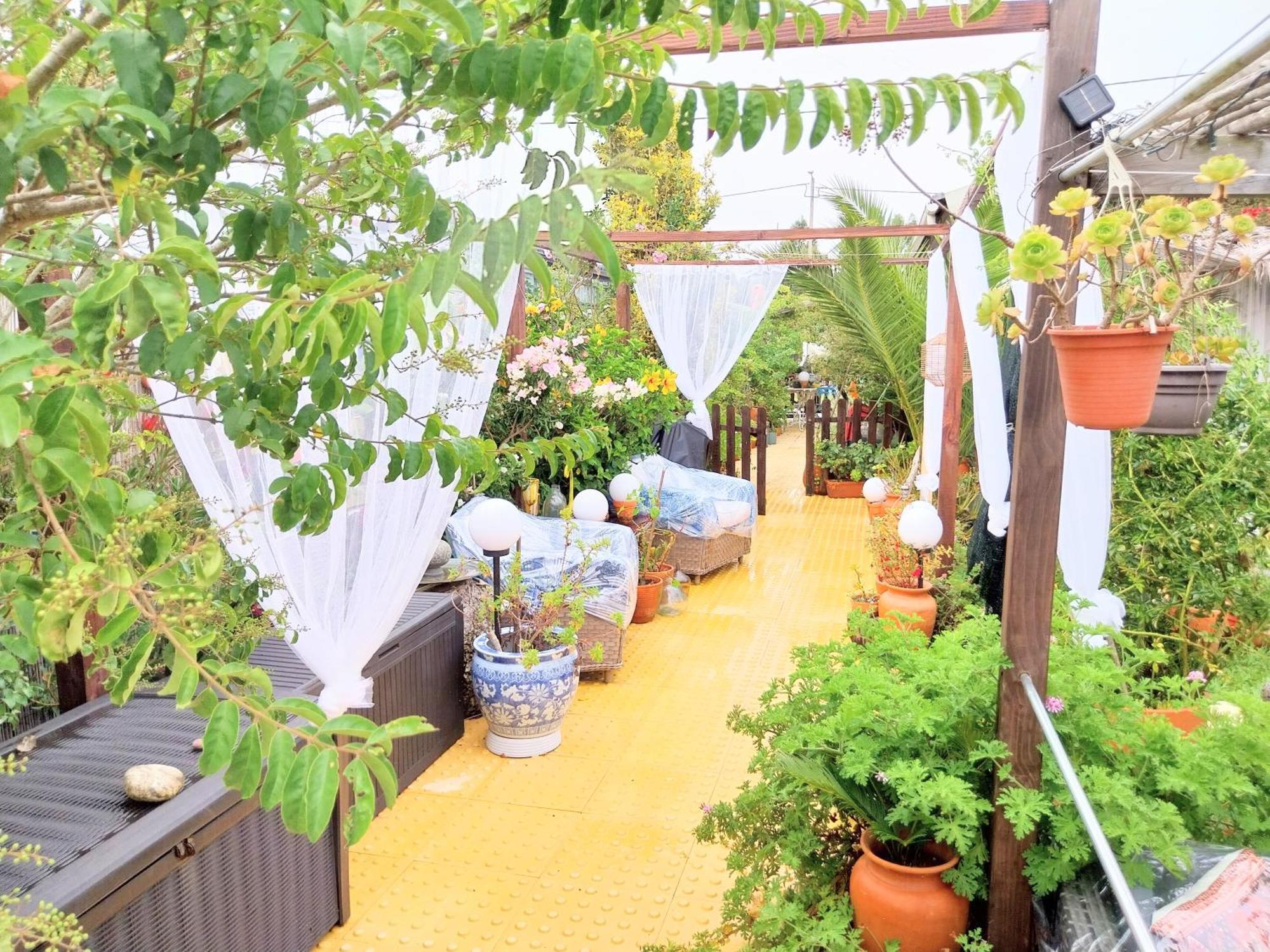 Beach House Babylon Guest House With Kitchenette And Garden Torreira Eksteriør billede