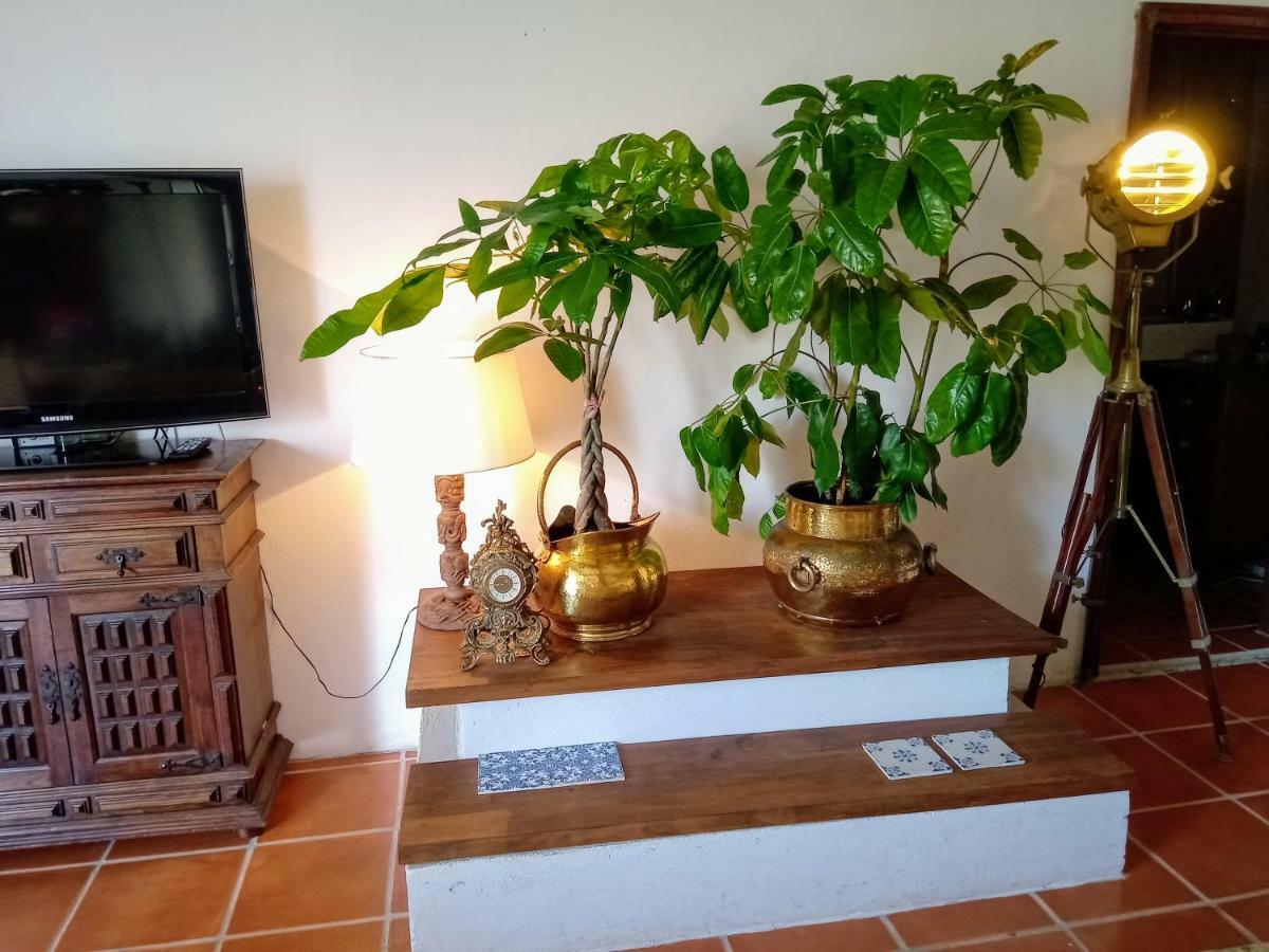 Beach House Babylon Guest House With Kitchenette And Garden Torreira Eksteriør billede